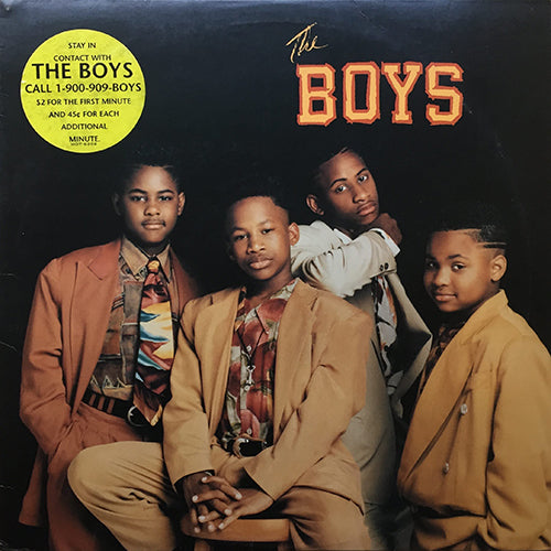 BOYS // THE BOYS (LP) inc. CRAZY / THINGS CALLED LOVE / FUNNY / MY LOVE / I HAD A DREAM / GOT TO BE THERE / SMPTE / THANX 4 THE FUNK / THE BUSH