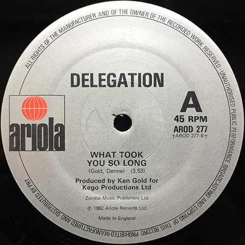 DELEGATION // GONNA BRING THE HOUSE DOWN (5:35) / WHAT TOOK YOU SO LONG (3:53)