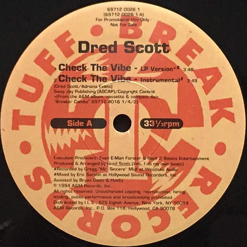 CD・DVD・ブルーレイ【DRED SCOTT】check the vibeレコード