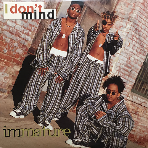 IMMATURE // I DON'T MIND (2VER) / CONSTANTLY