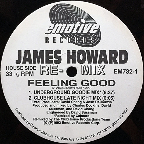 JAMES HOWARD // FEELING GOOD (REMIX) (5VER)