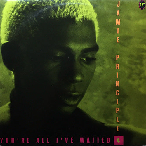 JAMIE PRINCIPLE // YOU'RE ALL I'VE WAITED (6VER)