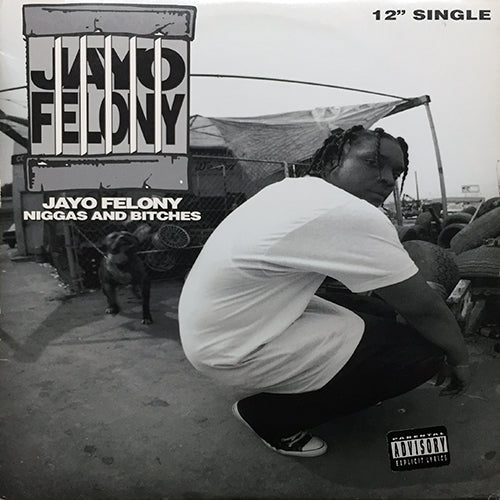 JAYO FELONY // NIGGAS AND BITCHES (3VER) / BROTHAS AND SISTAS / SHERM STICK (2VER)