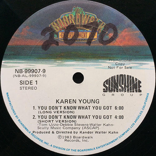 karen young you don't know what you got レコード