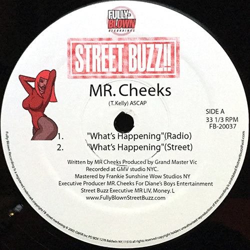 MR. CHEEKS // WHAT'S HAPPENING (3VER) / THE ONE 4 ME
