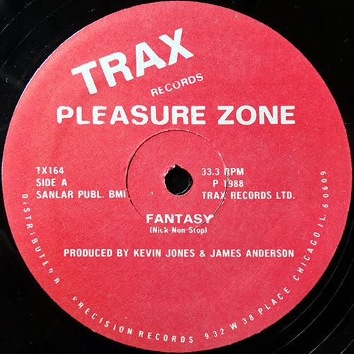 PLEASURE ZONE // FANTASY / I CAN'T UNDERSTAND