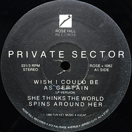 PRIVATE SECTOR // WISH I COULD BE AS CERTAIN (LP VERSION) / SHE THINKS THE WORLD SPINS AROUND HER / CERTAIN (CLUB MIX)