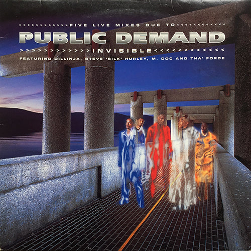 PUBLIC DEMAND // INVISIBLE (5VER)