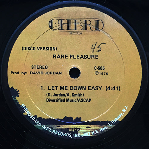 RARE PLEASURE // LET ME DOWN EASY (4:41)