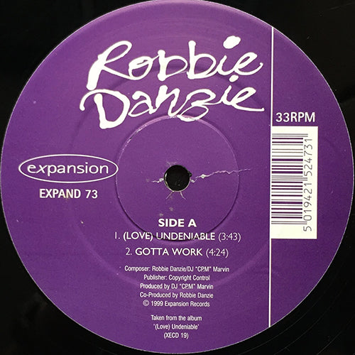 ROBBIE DANZIE // 4 TRACK EP (UNDENIABLE / GOTTA WORK / SUMMER / CARRIED AWAY)