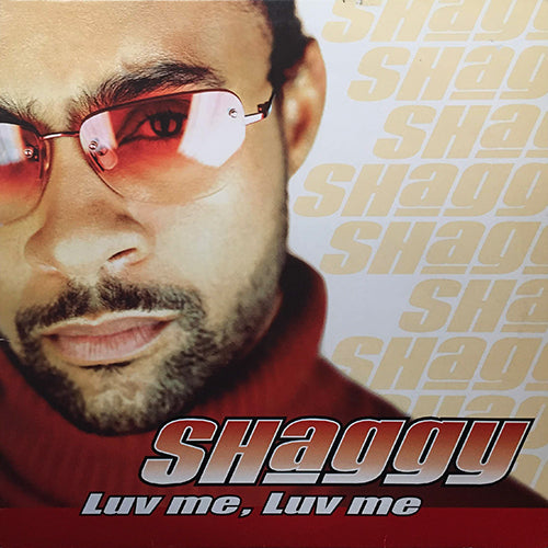 SHAGGY // LUV ME, LUV ME (2VER) / IT WASN'T ME (CRASH & BURN REMIX)