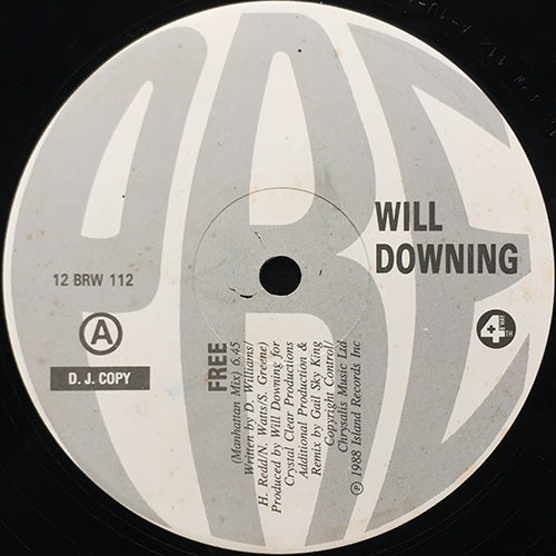 WILL DOWNING // FREE (MANHATTAN MIX) (6:45) / (PERCAPPELLA) (4:54) / DANCIN' IN THE MOONLIGHT (5:11)
