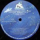 WONDERLAND DISCO BAND // WONDER WOMAN DISCO (AMERICAN VERSION) (6:57) / (EUROPEAN VERSION) (3:44) / IN DISCOLAND (1:40) / IN OUTERSPACE (3:10) / AT WAR (1:11) / REPRISE (2:35)
