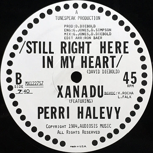 XANADU feat. SHAWN BENSON & PERRI HALEVY // STILL RIGHT HERE IN MY HEART (7:40) / MALE FRAUD (7:45)