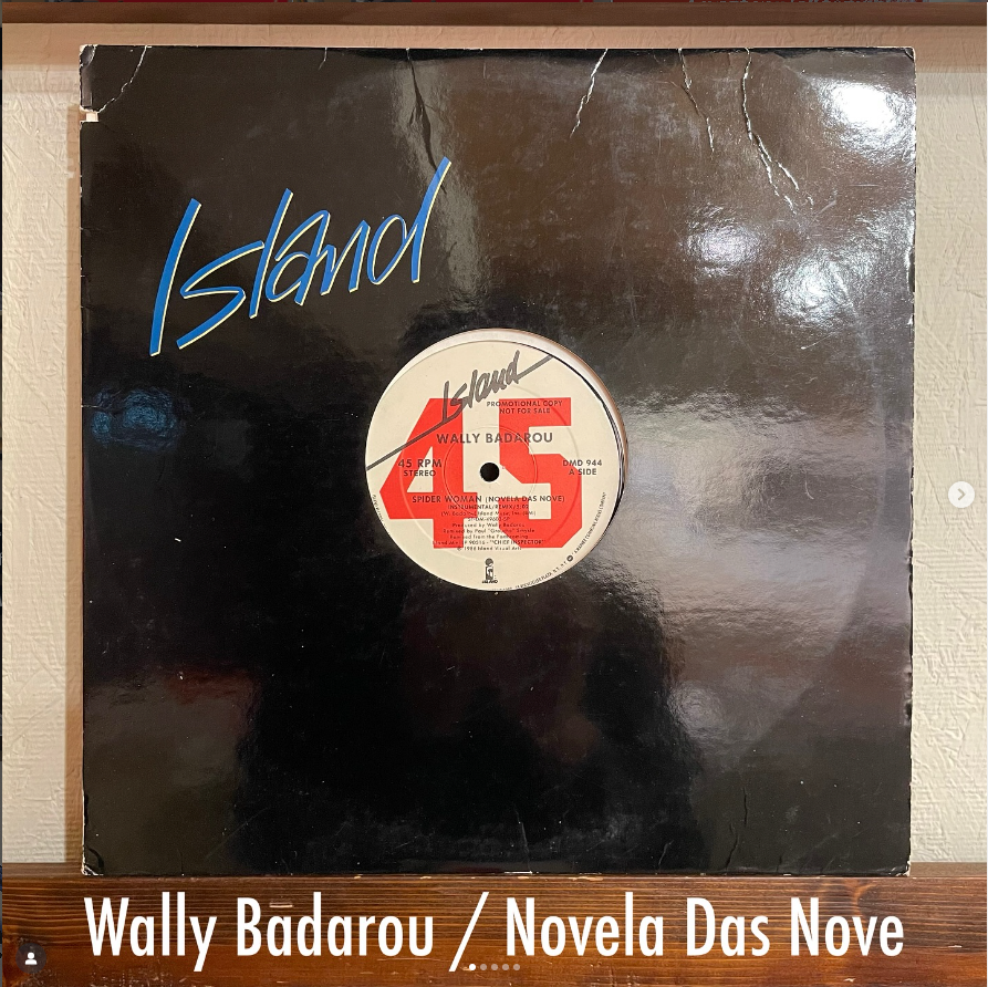 Wally Badarou / Novela Das Nove - 異国の風と幻影が交錯する…静かに熱を帯びるDub Fusion