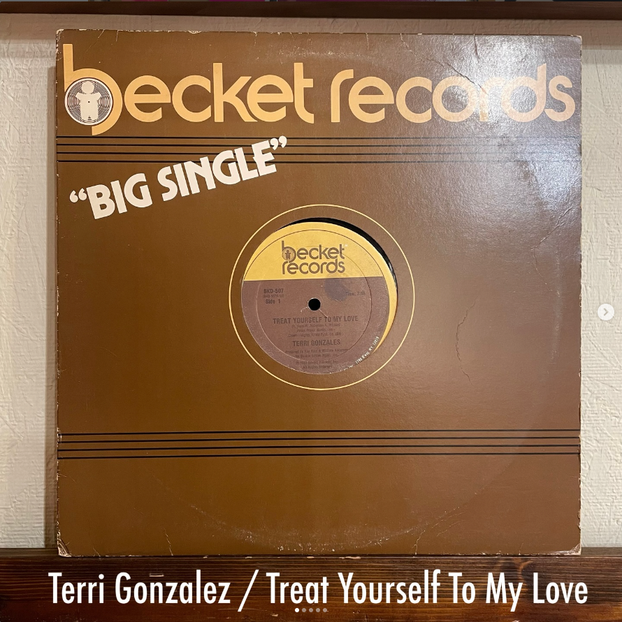 Terri Gonzalez / Treat Yourself To My Love - エレガントに揺らめく、深夜のフロアを照らす都会派Boogie