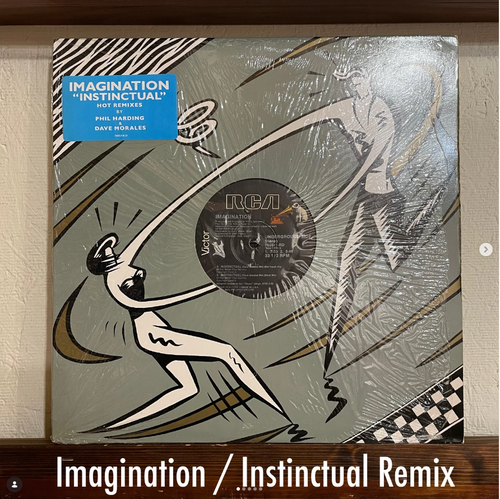 Imagination / Instinctual Remix - UK FunkがNYアンダーグラウンドと交差!本能を刺激するHouse Remix