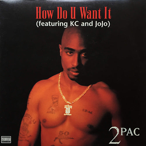 2 PAC // HOW DO U WANT IT / CALIFORNIA LOVE / 2 OF AMERIKAZ MOST WANTED / HIT'EM UP