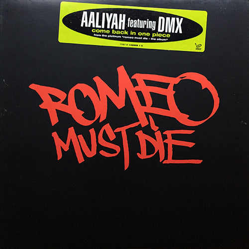 AALIYAH feat. DMX // COME BACK IN ONE PIECE (5VER) / TRY AGAIN (REMIX)