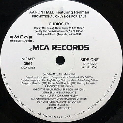 AARON HALL feat. REDMAN // CURIOSITY (REMIX & ORIGINAL) (6VER)