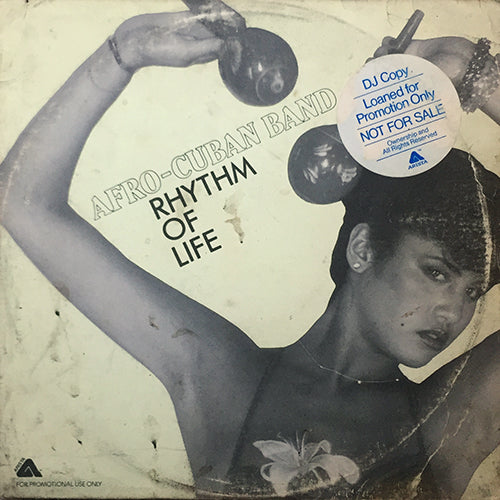 AFRO CUBAN BAND // RHYTHM OF LIFE (6:25)
