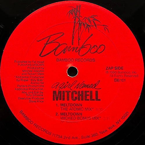 A GIRL NAMED MITCHELL // MELTDOWN (4VER)