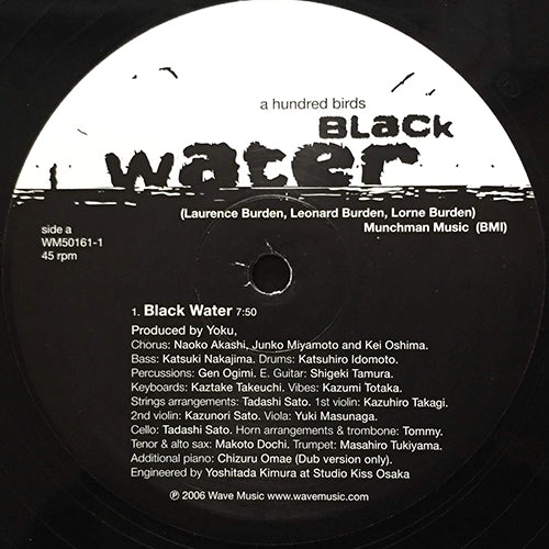 A HUNDRED BIRDS // BLACK WATER (7:50) / (DUB) (7:02) / COME TOGETHER (6:09)
