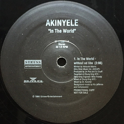 AKINYELE // IN THE WORLD (WITH AD LIBS) (3:20) / (WITHOUT AD LIBS) (3:20)