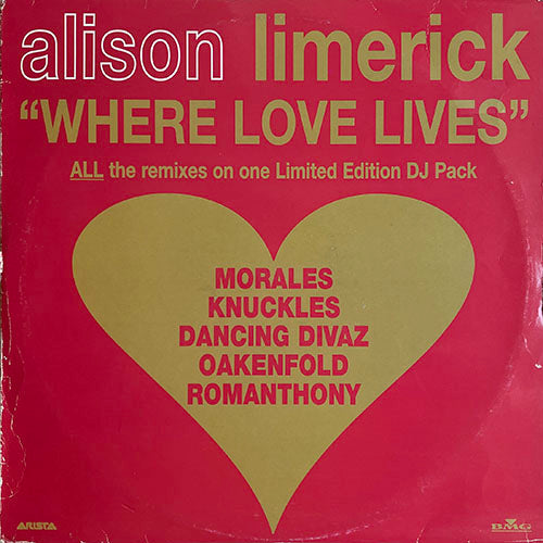 ALISON LIMERICK // WHERE LOVE LIVES (1996 REMIX) (9VER)