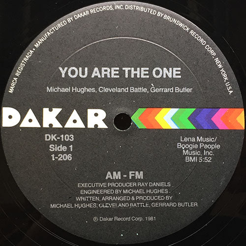 AM-FM // YOU ARE THE ONE (5:52) / INST (5:32)