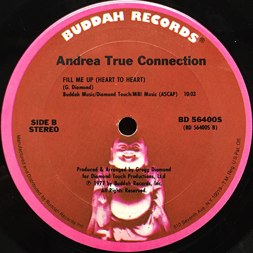 ANDREA TRUE CONNECTION // N.Y. YOU GOT ME DANCING (6:00) / FILL ME UP (10:03)