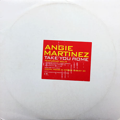 ANGIE MARTINEZ feat. KELIS // TAKE YOU HOME (3VER)