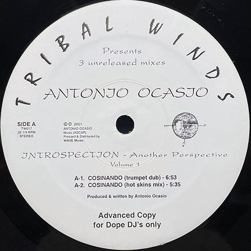 ANTONIO OCASIO // INTROSPECTION - ANOTHER PERSPECTIVE VOLUME 1 (EP) inc. COSINANDO (2VER) / PA'QUE GOZEN