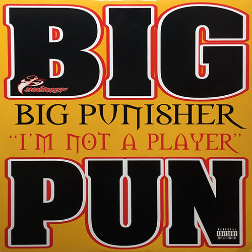 BIG PUNISHER // I'M NOT A PLAYER (2VER) / WISHFUL THINKING (2VER) / YOU AIN'T A KILLER