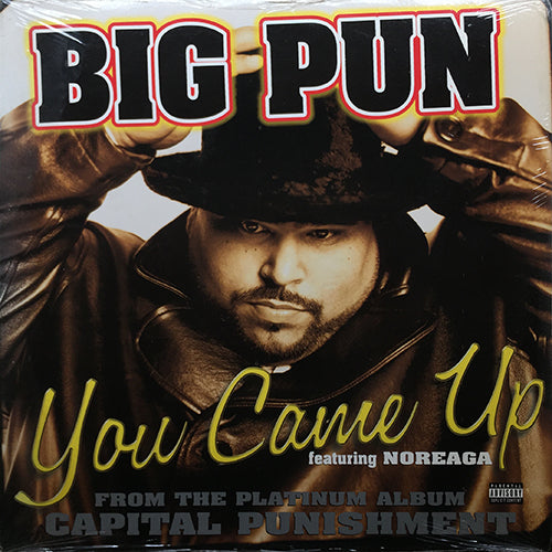 BIG PUNISHER feat. NOREAGA // YOU CAME UP (3VER)