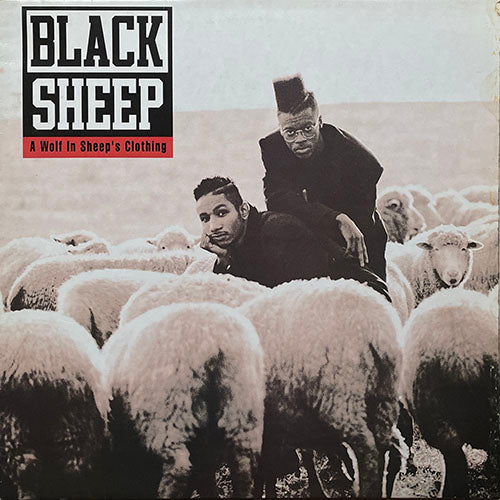 BLACK SHEEP // A WOLF IN SHEEP'S CLOTHING (LP) inc. THE CHOICE IS YOURS / STROBELITE HONEY / SIMILAK CHILD / TRY COUNTING SHEEP / FLAVOR OF THE MONTH / FOR DOZ THAT SLEPT etc...