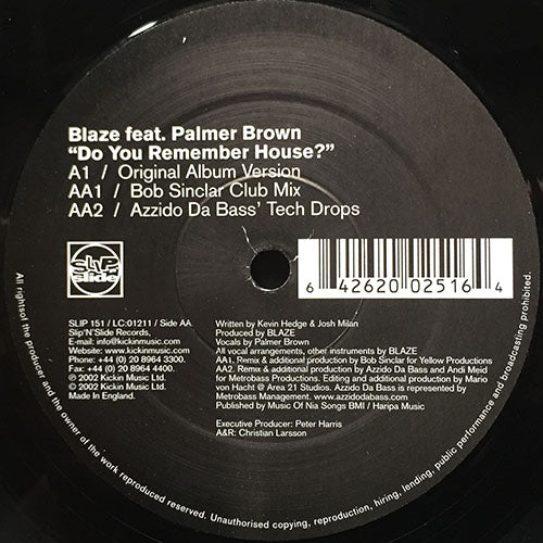 BLAZE feat. PALMER BROWN // DO YOU REMEMBER HOUSE? (3VER)