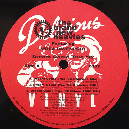 BRAND NEW HEAVIES // DREAM COME TRUE '92 (6VER)