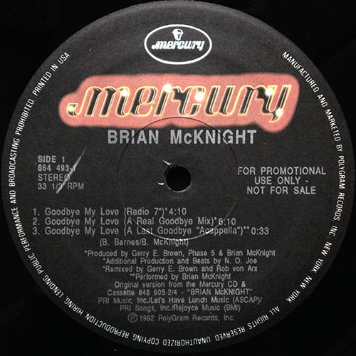 BRIAN McKNIGHT // GOODBYE MY LOVE (5VER)