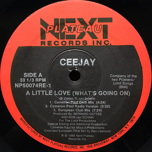 CEEJAY // A LITTLE LOVE (WHAT'S GOING ON) (CAMERON PAUL REMIX) (5VER)