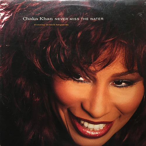 CHAKA KHAN feat. ME'SHELL NDEGEOCELLO // NEVER MISS THE WATER (ALBUM VERSION) (5VER)