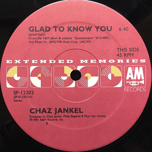 CHAZ JANKEL / RAES // GLAD TO KNOW YOU (6:40) / DON'T TURN AROUND (5:26)