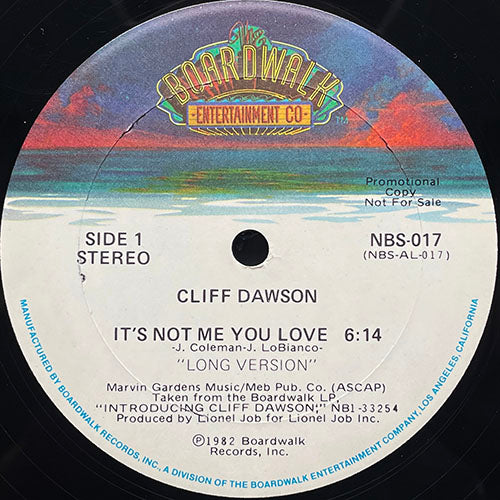 CLIFF DAWSON // IT'S NOT ME YOU LOVE (6:14/4:04)