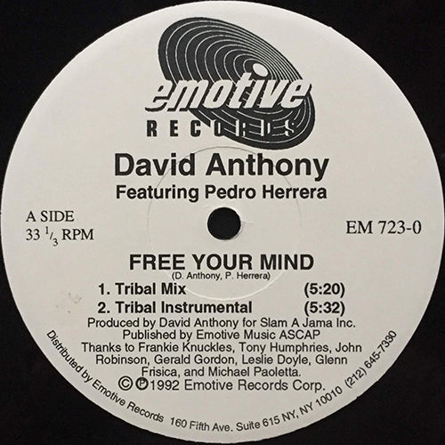 DAVID ANTHONY feat. PEDRO HERRERA // FREE YOUR MIND (4VER)