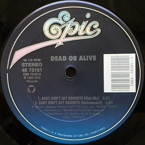 DEAD OR ALIVE // BABY DON'T SAY GOODBYE (5VER)