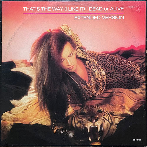 DEAD OR ALIVE // THAT'S THE WAY (I LIKE IT) (EXTENDED VERSION) / DO IT