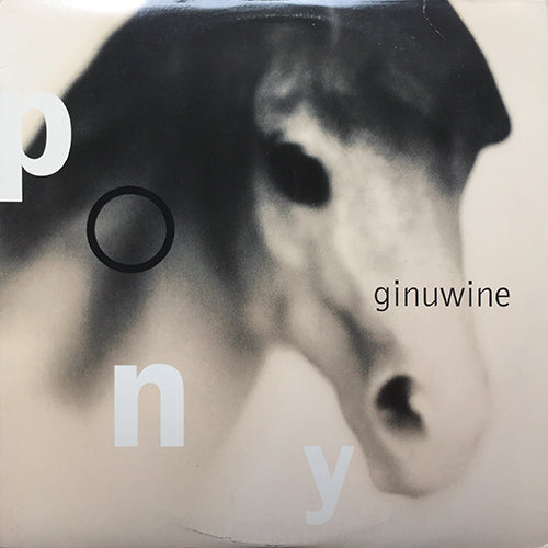 GINUWINE // PONY (4VER)