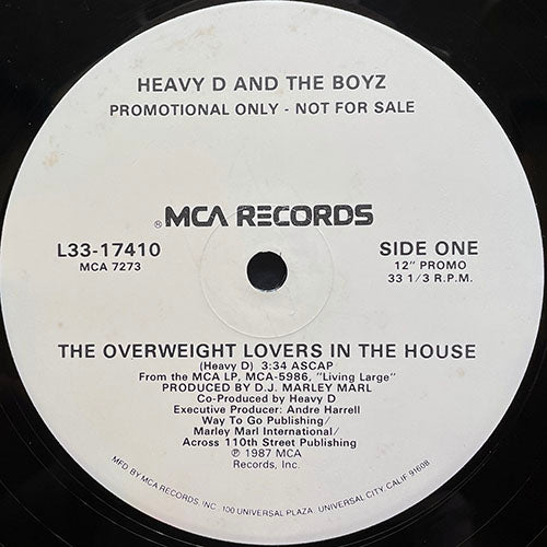HEAVY D & THE BOYZ // THE OVERWEIGHT LOVERS IN THE HOUSE (3:34)