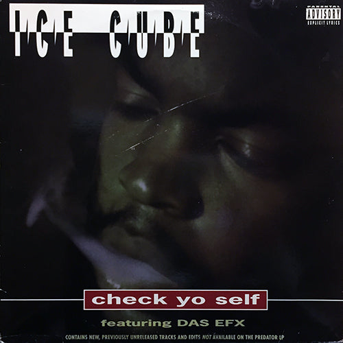 ICE CUBE feat. DAS EFX // CHECK YO SELF (2VER) / IT WAS A GOOD DAY (2VER) / 24 WITH A L