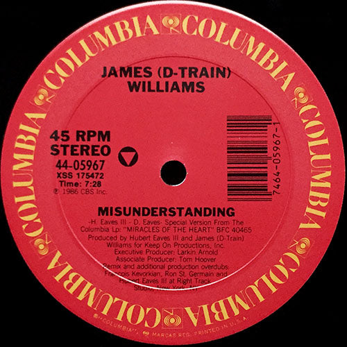 JAMES (D-TRAIN) WILLIAMS // MISUNDERSTANDING (7:28) / (INSTRUMENTAL) (6:08) / (ACCAPELLA & HOUSE DUB) (3:52)